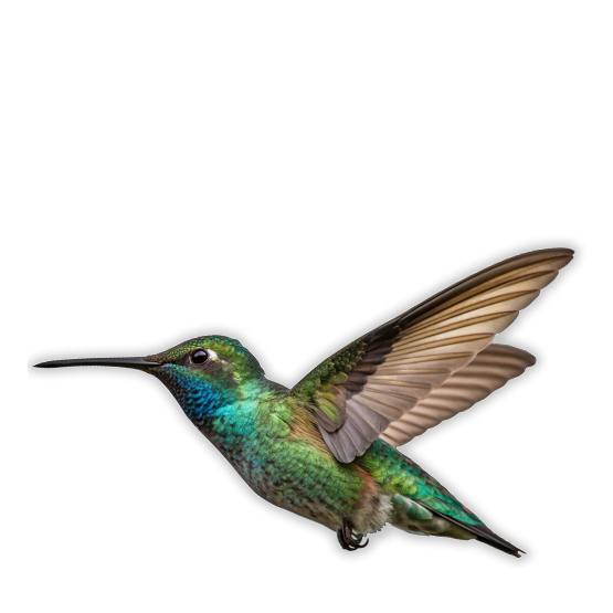 Header image for course