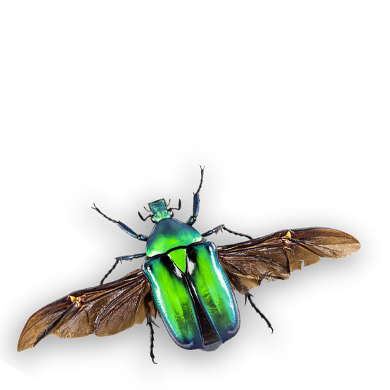 Header image for course