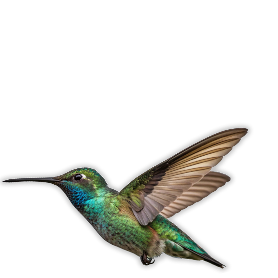 Header image for course