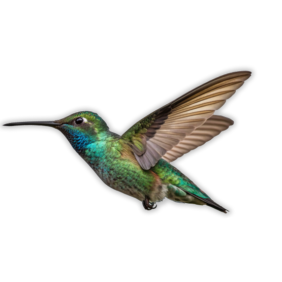 Header image for course